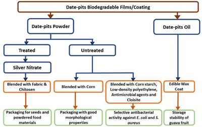 Applications of date pits in foods to enhance their functionality and quality: A review